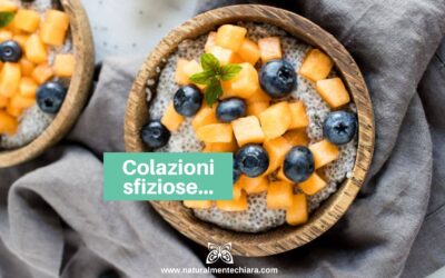 Budino di Chia al Cocco e Melone